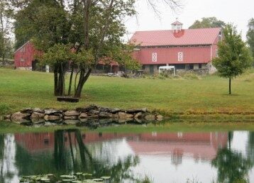 Wild Goose Farm Wedding & Events